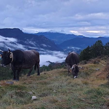 Precioso apartamento en el Pirineo Catalán La Pobla de Lillet Exterior foto