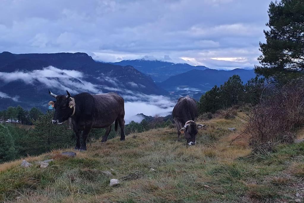 Precioso apartamento en el Pirineo Catalán La Pobla de Lillet Exterior foto